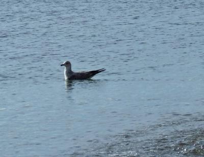 Прикрепленное изображение: DSCF6296.jpg